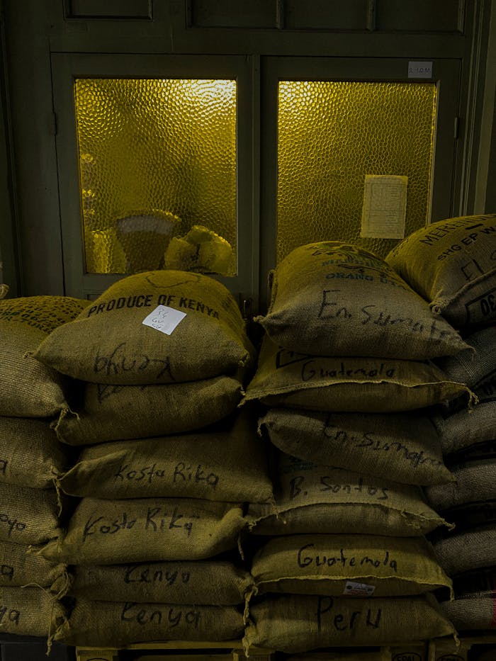 Sacks of coffee beans labeled by country in a dimly lit warehouse setting.